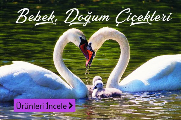 Bebek ve doğum çiçekleri - Burdur çiçek siparişi