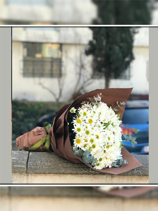 Beyaz Papatyalar Çiçek Buketi