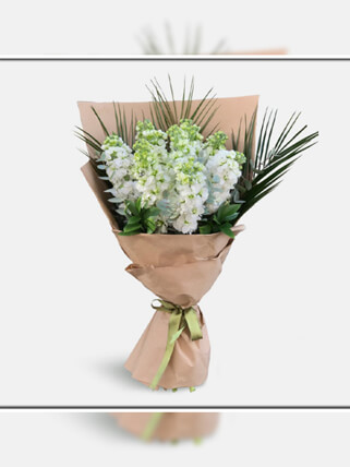 Beyaz Şebboy Buketi