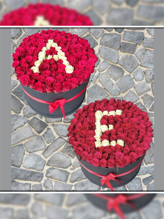 İkili Kutuda Aşkın Baş Harfi Kırmızı Güller