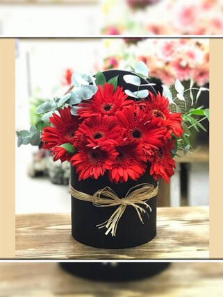 Kutuda Kırmızı Gerbera Çiçekleri