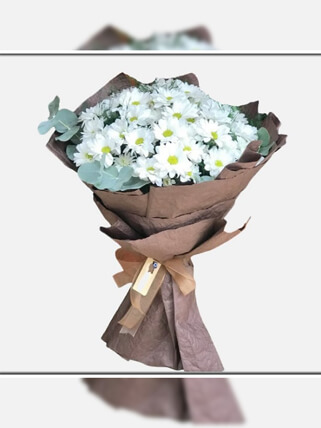 Saf Sevgi Papatya Buketi